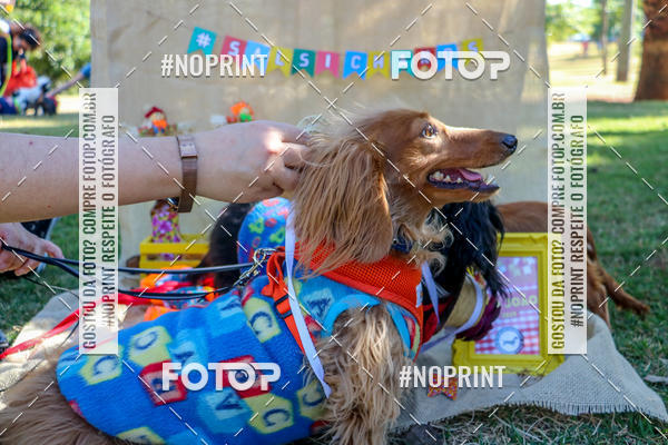 Achetez vos photos de l'vnementCo Joo - Festa Julina do Clube dos Salsichanos Ribeiro Preto sur Fotop