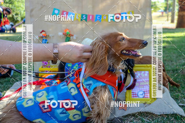 Achetez vos photos de l'vnementCo Joo - Festa Julina do Clube dos Salsichanos Ribeiro Preto sur Fotop