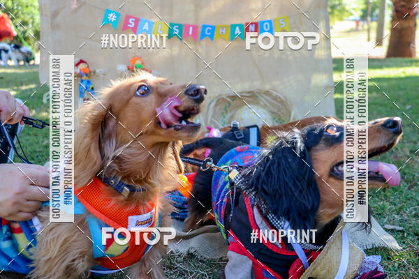 Achetez vos photos de l'vnementCo Joo - Festa Julina do Clube dos Salsichanos Ribeiro Preto sur Fotop