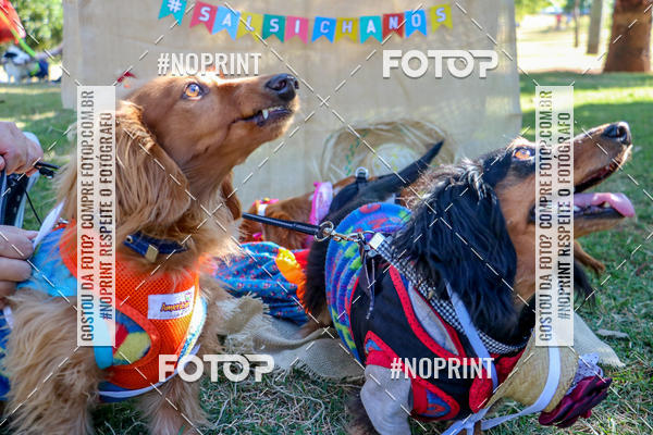 Achetez vos photos de l'vnementCo Joo - Festa Julina do Clube dos Salsichanos Ribeiro Preto sur Fotop