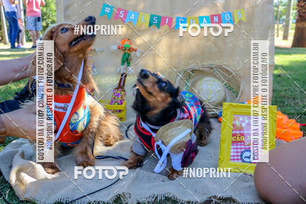 Achetez vos photos de l'vnementCo Joo - Festa Julina do Clube dos Salsichanos Ribeiro Preto sur Fotop