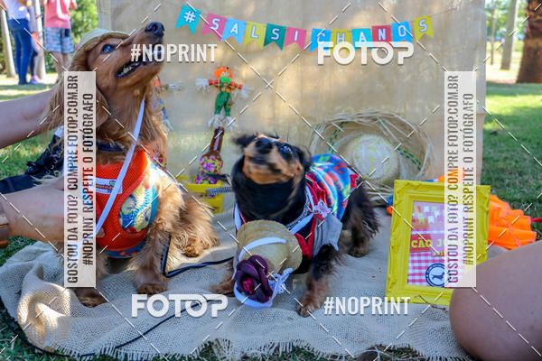 Achetez vos photos de l'vnementCo Joo - Festa Julina do Clube dos Salsichanos Ribeiro Preto sur Fotop