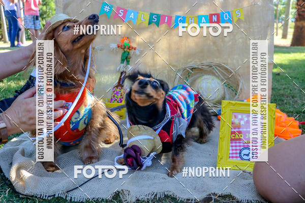 Achetez vos photos de l'vnementCo Joo - Festa Julina do Clube dos Salsichanos Ribeiro Preto sur Fotop