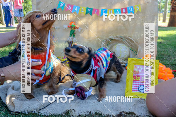 Achetez vos photos de l'vnementCo Joo - Festa Julina do Clube dos Salsichanos Ribeiro Preto sur Fotop