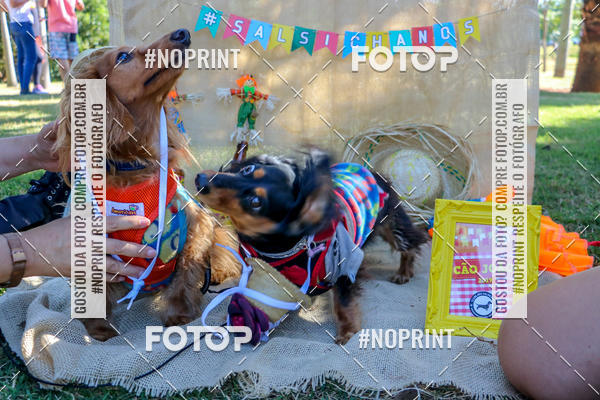 Achetez vos photos de l'vnementCo Joo - Festa Julina do Clube dos Salsichanos Ribeiro Preto sur Fotop