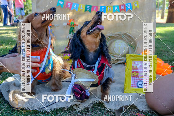 Achetez vos photos de l'vnementCo Joo - Festa Julina do Clube dos Salsichanos Ribeiro Preto sur Fotop