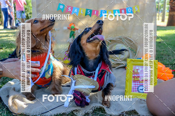 Achetez vos photos de l'vnementCo Joo - Festa Julina do Clube dos Salsichanos Ribeiro Preto sur Fotop