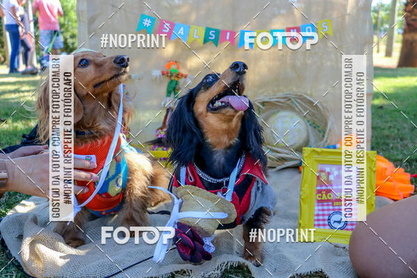 Achetez vos photos de l'vnementCo Joo - Festa Julina do Clube dos Salsichanos Ribeiro Preto sur Fotop