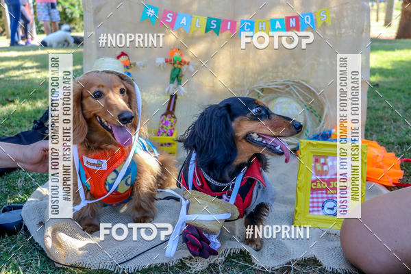 Achetez vos photos de l'vnementCo Joo - Festa Julina do Clube dos Salsichanos Ribeiro Preto sur Fotop