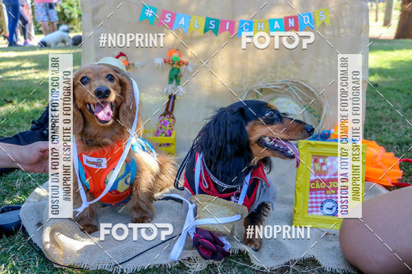 Achetez vos photos de l'vnementCo Joo - Festa Julina do Clube dos Salsichanos Ribeiro Preto sur Fotop