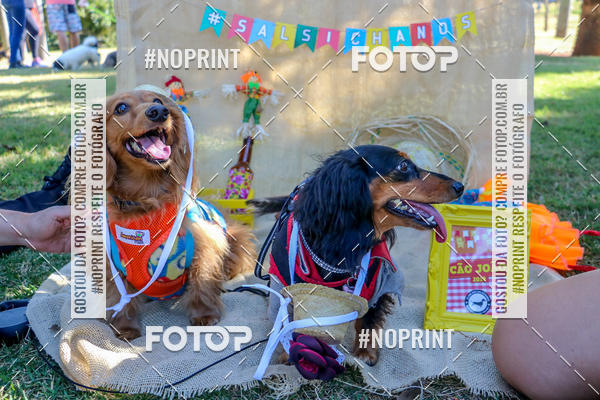 Achetez vos photos de l'vnementCo Joo - Festa Julina do Clube dos Salsichanos Ribeiro Preto sur Fotop