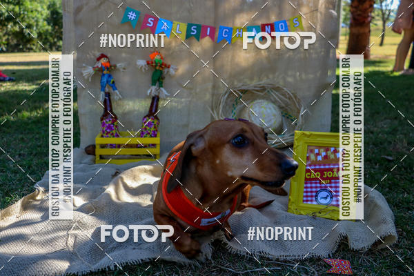 Achetez vos photos de l'vnementCo Joo - Festa Julina do Clube dos Salsichanos Ribeiro Preto sur Fotop