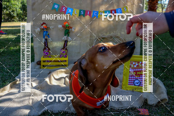 Achetez vos photos de l'vnementCo Joo - Festa Julina do Clube dos Salsichanos Ribeiro Preto sur Fotop