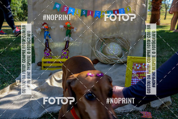 Achetez vos photos de l'vnementCo Joo - Festa Julina do Clube dos Salsichanos Ribeiro Preto sur Fotop