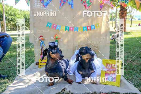 Compre suas fotos do eventoCo Joo - Festa Julina do Clube dos Salsichanos Ribeiro Preto no Fotop