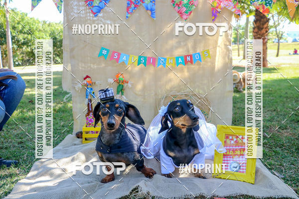 Compre suas fotos do eventoCo Joo - Festa Julina do Clube dos Salsichanos Ribeiro Preto no Fotop