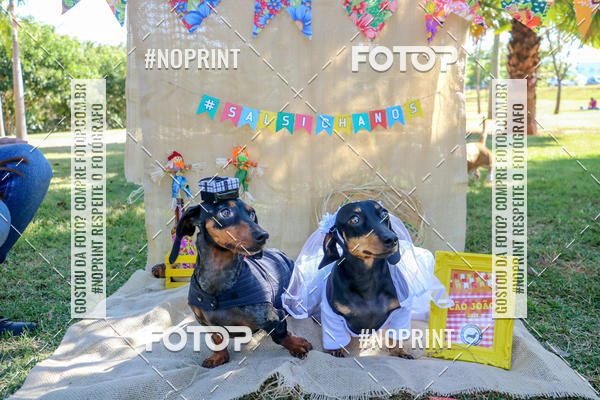 Compre suas fotos do eventoCo Joo - Festa Julina do Clube dos Salsichanos Ribeiro Preto no Fotop