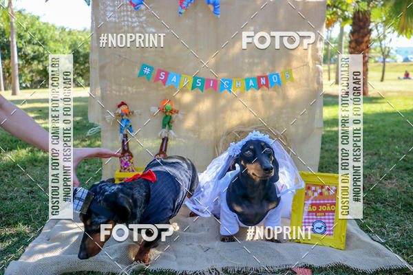 Compre suas fotos do eventoCo Joo - Festa Julina do Clube dos Salsichanos Ribeiro Preto no Fotop