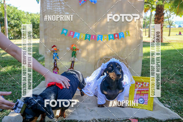 Compre suas fotos do eventoCo Joo - Festa Julina do Clube dos Salsichanos Ribeiro Preto no Fotop