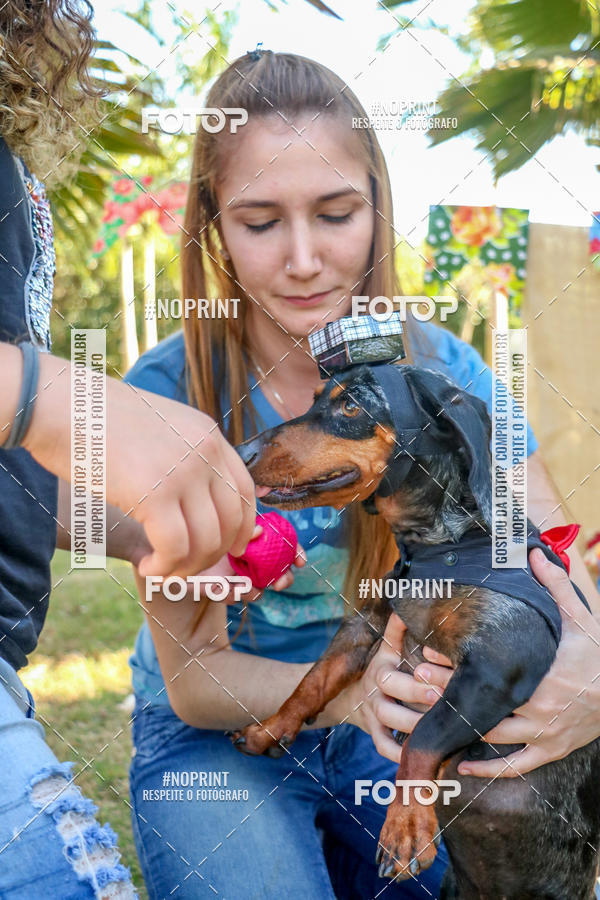 Compre suas fotos do eventoCo Joo - Festa Julina do Clube dos Salsichanos Ribeiro Preto no Fotop