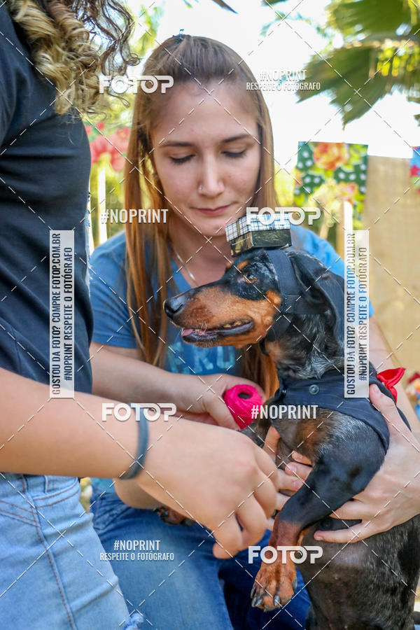 Compre suas fotos do eventoCo Joo - Festa Julina do Clube dos Salsichanos Ribeiro Preto no Fotop