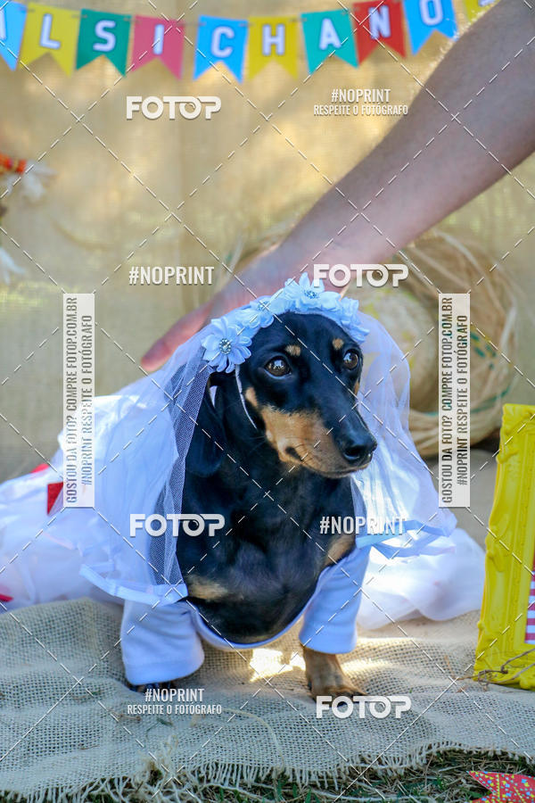 Compre suas fotos do eventoCo Joo - Festa Julina do Clube dos Salsichanos Ribeiro Preto no Fotop