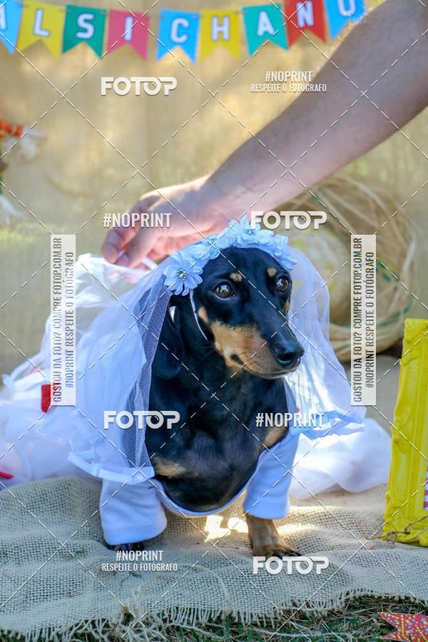 Compre suas fotos do eventoCo Joo - Festa Julina do Clube dos Salsichanos Ribeiro Preto no Fotop