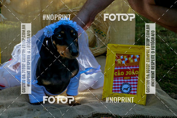 Compre suas fotos do eventoCo Joo - Festa Julina do Clube dos Salsichanos Ribeiro Preto no Fotop