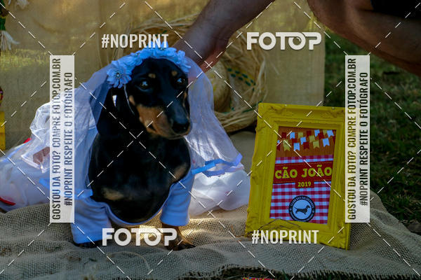 Compre suas fotos do eventoCo Joo - Festa Julina do Clube dos Salsichanos Ribeiro Preto no Fotop