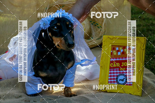 Compre suas fotos do eventoCo Joo - Festa Julina do Clube dos Salsichanos Ribeiro Preto no Fotop