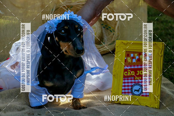 Compre suas fotos do eventoCo Joo - Festa Julina do Clube dos Salsichanos Ribeiro Preto no Fotop