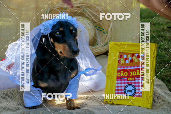 Compre suas fotos do eventoCo Joo - Festa Julina do Clube dos Salsichanos Ribeiro Preto no Fotop