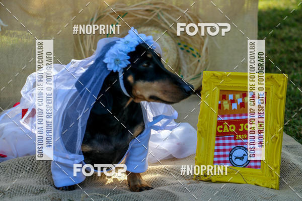 Compre suas fotos do eventoCo Joo - Festa Julina do Clube dos Salsichanos Ribeiro Preto no Fotop