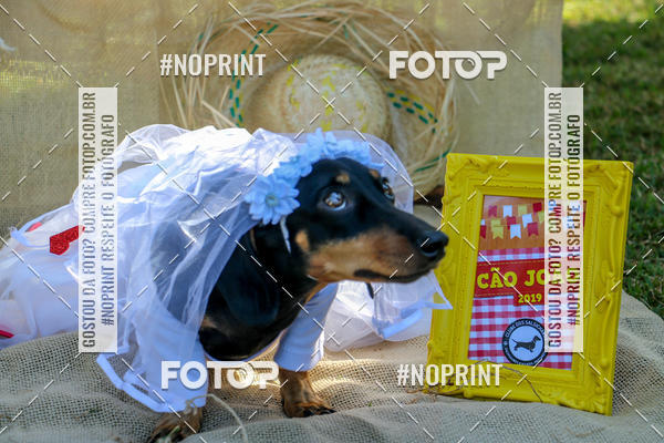 Compre suas fotos do eventoCo Joo - Festa Julina do Clube dos Salsichanos Ribeiro Preto no Fotop