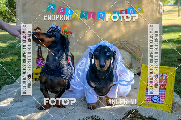 Compre suas fotos do eventoCo Joo - Festa Julina do Clube dos Salsichanos Ribeiro Preto no Fotop