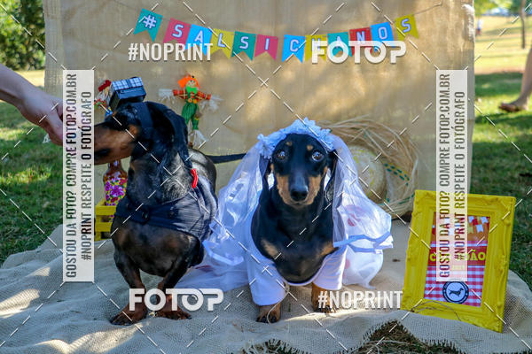 Compre suas fotos do eventoCo Joo - Festa Julina do Clube dos Salsichanos Ribeiro Preto no Fotop