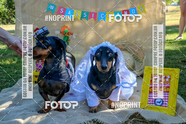 Compre suas fotos do eventoCo Joo - Festa Julina do Clube dos Salsichanos Ribeiro Preto no Fotop