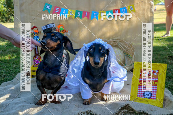 Compre suas fotos do eventoCo Joo - Festa Julina do Clube dos Salsichanos Ribeiro Preto no Fotop