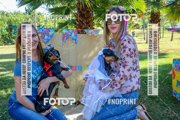 Buy your photos of the eventCo Joo - Festa Julina do Clube dos Salsichanos Ribeiro Preto on Fotop