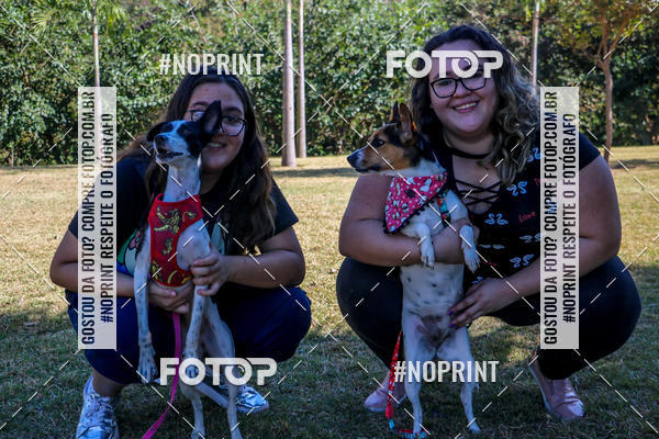 Buy your photos of the eventCo Joo - Festa Julina do Clube dos Salsichanos Ribeiro Preto on Fotop