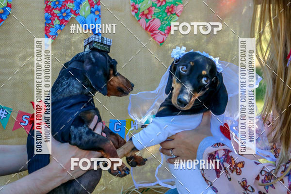 Buy your photos of the eventCo Joo - Festa Julina do Clube dos Salsichanos Ribeiro Preto on Fotop