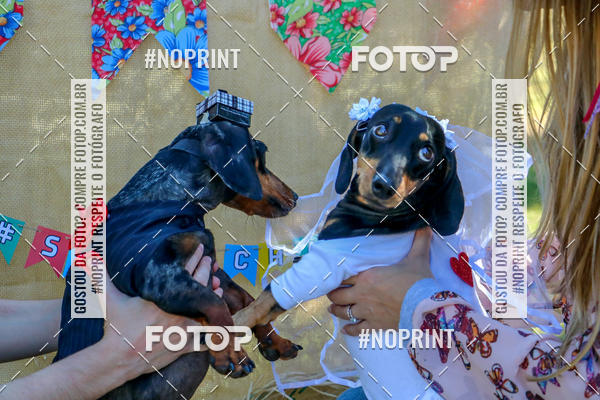 Buy your photos of the eventCo Joo - Festa Julina do Clube dos Salsichanos Ribeiro Preto on Fotop