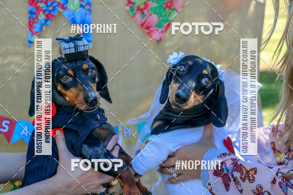 Buy your photos of the eventCo Joo - Festa Julina do Clube dos Salsichanos Ribeiro Preto on Fotop