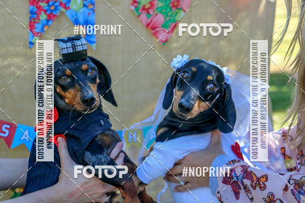 Buy your photos of the eventCo Joo - Festa Julina do Clube dos Salsichanos Ribeiro Preto on Fotop