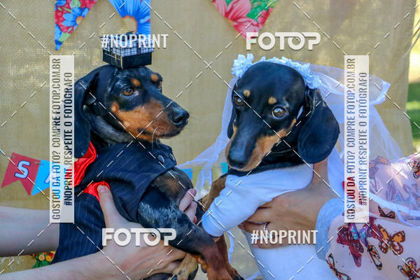 Buy your photos of the eventCo Joo - Festa Julina do Clube dos Salsichanos Ribeiro Preto on Fotop