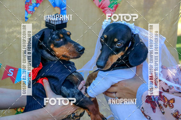 Buy your photos of the eventCo Joo - Festa Julina do Clube dos Salsichanos Ribeiro Preto on Fotop