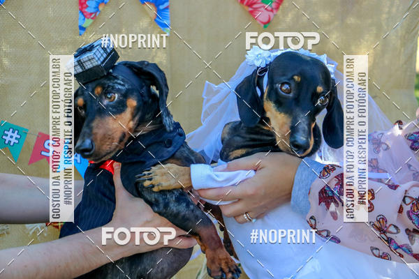 Buy your photos of the eventCo Joo - Festa Julina do Clube dos Salsichanos Ribeiro Preto on Fotop