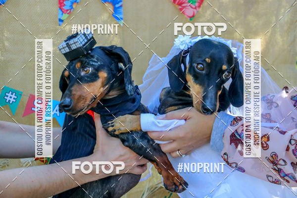 Buy your photos of the eventCo Joo - Festa Julina do Clube dos Salsichanos Ribeiro Preto on Fotop