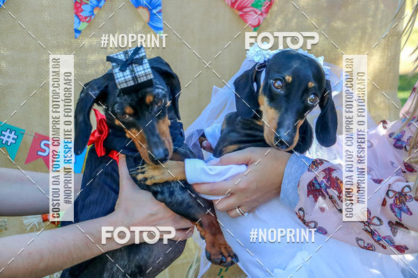 Buy your photos of the eventCo Joo - Festa Julina do Clube dos Salsichanos Ribeiro Preto on Fotop