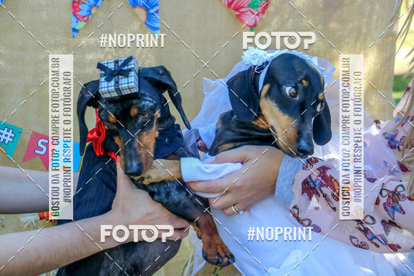 Buy your photos of the eventCo Joo - Festa Julina do Clube dos Salsichanos Ribeiro Preto on Fotop